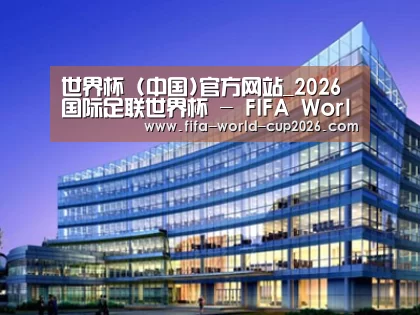 案例展示五