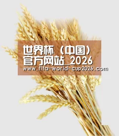 世界杯 (中国)官方网站_2026国际足联世界杯 - FIFA Worldcup